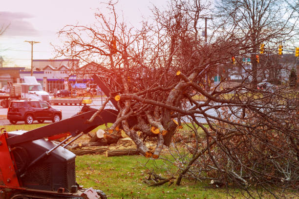 Leaf Removal in Huntington Bay, NY